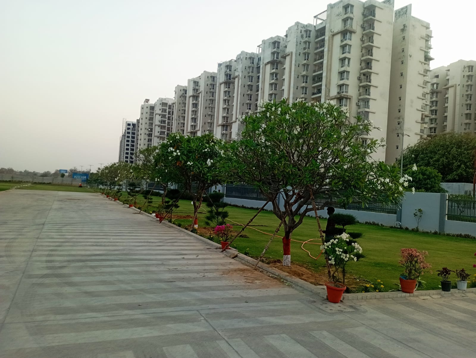 Site Visit 20